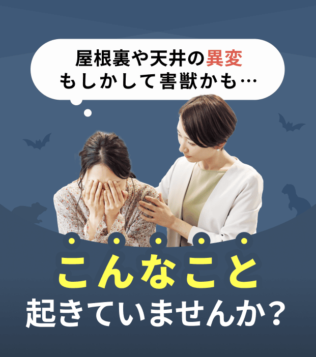 屋根裏や天井の異変もしかして害獣かも…こんなこと起きていませんか？