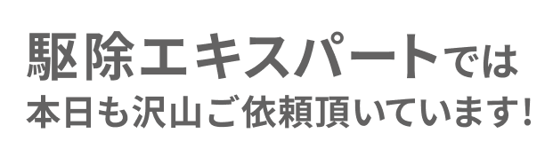 本日も沢山ご依頼いただいています