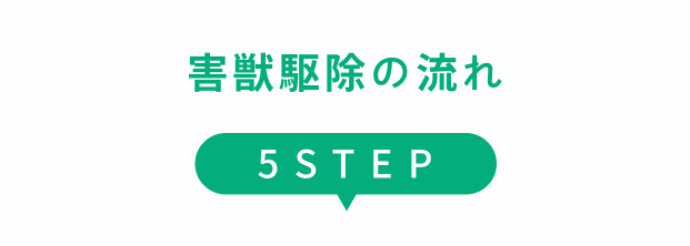 5STEP