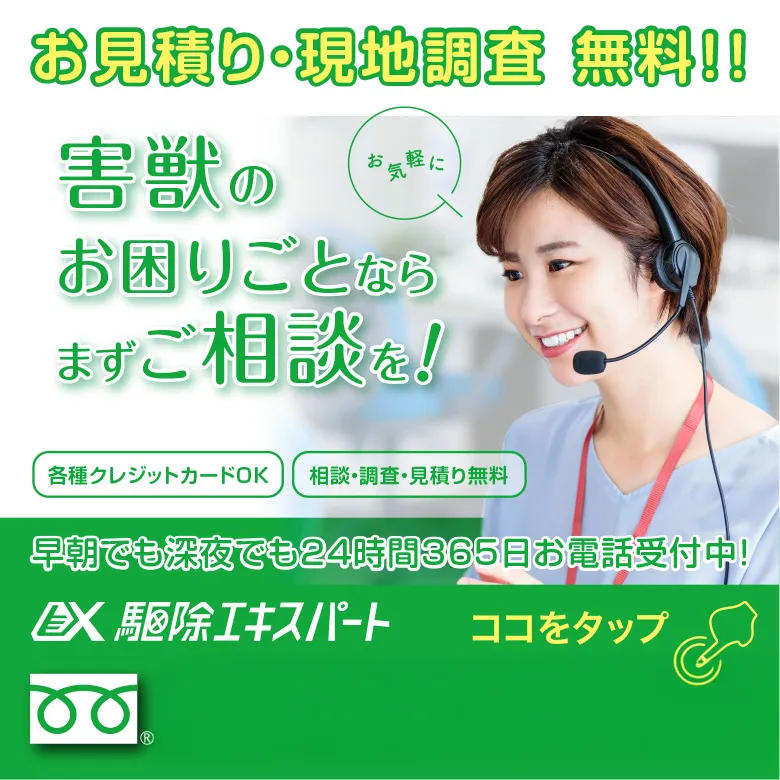 0120-987-536